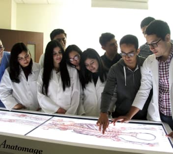 Using Colleges as Starting Points for Interdisciplinary Learning