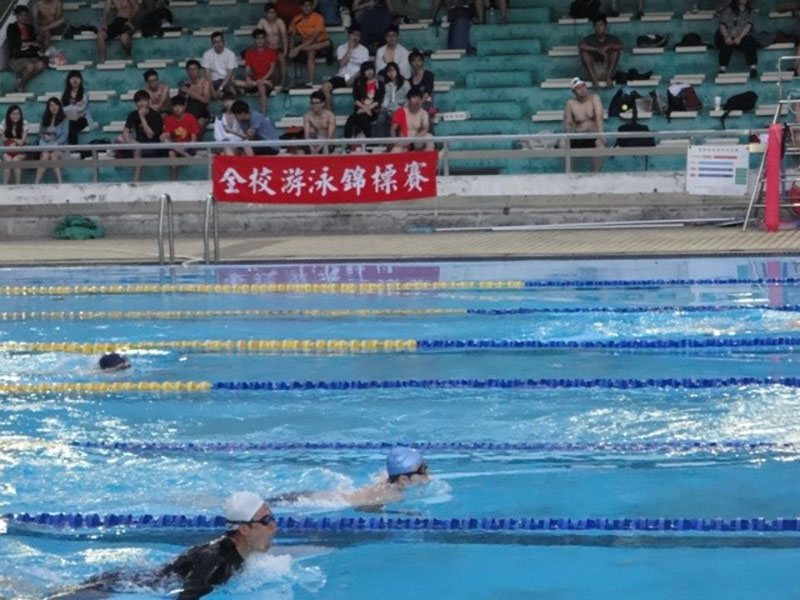 Swimming Competitions - 2 / 2